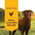 Instinct Grain-Free Wet Dog Food - Real Chicken