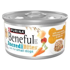 Purina Beneful High Protein Wet Dog Food, 12 Cans