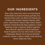 Instinct Grain-Free Wet Dog Food - Real Chicken