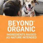Organic Chicken & Carrot Wet Dog Food - 12 Cans