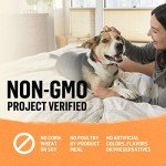 Organic Chicken & Carrot Wet Dog Food - 12 Cans