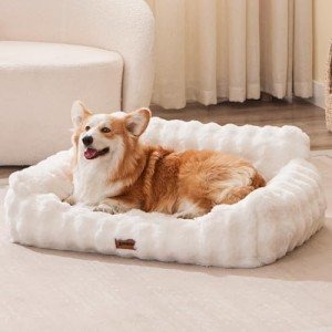 Cozy Orthopedic Dog Couch Bed - Ivory White