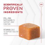 Royal Canin Joint Soft Chews for Dogs