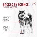 Royal Canin Joint Soft Chews for Dogs
