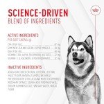 Royal Canin Joint Soft Chews for Dogs