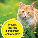 TevraPet Actispot II Flea Treatment for Cats