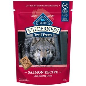 Grain-Free High-Protein Salmon Dog Biscuits