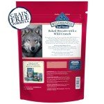 Grain-Free High-Protein Salmon Dog Biscuits