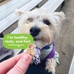 Cloud Star Buddy Biscuits: Crunchy Chicken Dog Treats