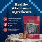 Grain-Free High-Protein Salmon Dog Biscuits