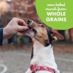 Cloud Star Buddy Biscuits: Crunchy Chicken Dog Treats
