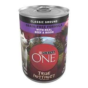 Purina ONE Grain-Free Beef & Bison Dog Food