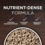 Purina ONE Grain-Free Beef & Bison Dog Food