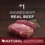 Purina ONE Grain-Free Beef & Bison Dog Food