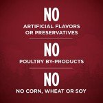 Purina ONE Grain-Free Beef & Bison Dog Food