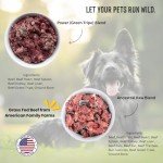 Ancestral Raw Nutrition Raw Dog & Cat Food 30-Pack