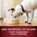 Purina ONE Grain-Free Beef & Bison Dog Food