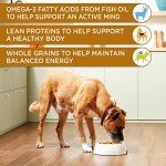 Rachael Ray Nutrish Wet Dog Food Variety Pack