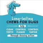 Bacon & Cheese Chew Treats for Puppies (6 Count)