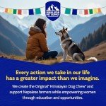 Himalayan Yak Cheese Dog Chews - Natural Treats