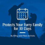PetArmor Flea & Tick Treatment for Medium Dogs