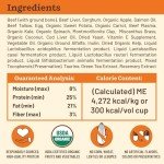 Beef Freeze-Dried Dog Food - Primal Kibble 5.4 lb
