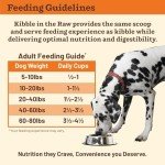 Beef Freeze-Dried Dog Food - Primal Kibble 5.4 lb