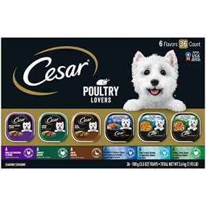 Cesar Poultry Lovers Wet Dog Food Variety Pack