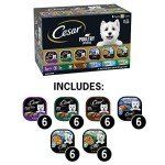 Cesar Poultry Lovers Wet Dog Food Variety Pack