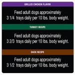 Cesar Poultry Lovers Wet Dog Food Variety Pack