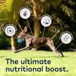 ZIWI Peak Beef Air-Dried Dog Food 16oz