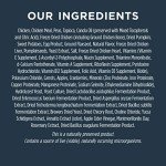 Instinct Raw Boost Grain-Free Dog Food, Chicken
