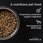 Diamond Naturals Beef and Rice Dry Dog Food