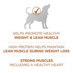 Purina ONE Healthy Weight High-Protein Dog Food