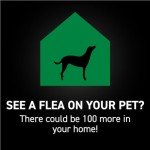 NEXTSTAR Waterproof Flea and Tick Drops for Dogs