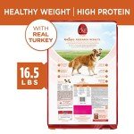 Purina ONE Healthy Weight High-Protein Dog Food