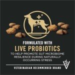 Purina Pro Plan Salmon & Rice Dry Dog Food