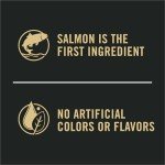 Purina Pro Plan Salmon & Rice Dry Dog Food