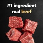 Cesar Small Breed Dry Dog Food, Filet Mignon 12 lb