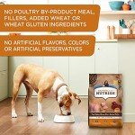 Rachael Ray Nutrish Turkey & Venison Dog Food