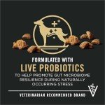 Purina Pro Plan Beef & Rice Dog Food - 35 lb