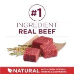 Purina ONE Small Bites High Protein Dog Food