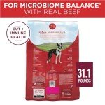 Purina ONE Small Bites High Protein Dog Food