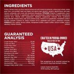 Purina ONE True Instinct Turkey & Venison Dog Food