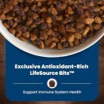 Blue Buffalo Senior Dry Dog Food for Small Breeds