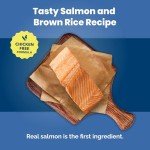Blue Buffalo Salmon & Brown Rice Dog Food 30lb