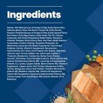 Blue Buffalo Salmon & Brown Rice Dog Food 30lb