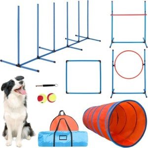 Backyard Dog Agility Course Training Set