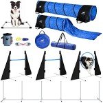 Dog Agility Training Equipment for Endless Fun