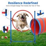Backyard Dog Agility Course Training Set